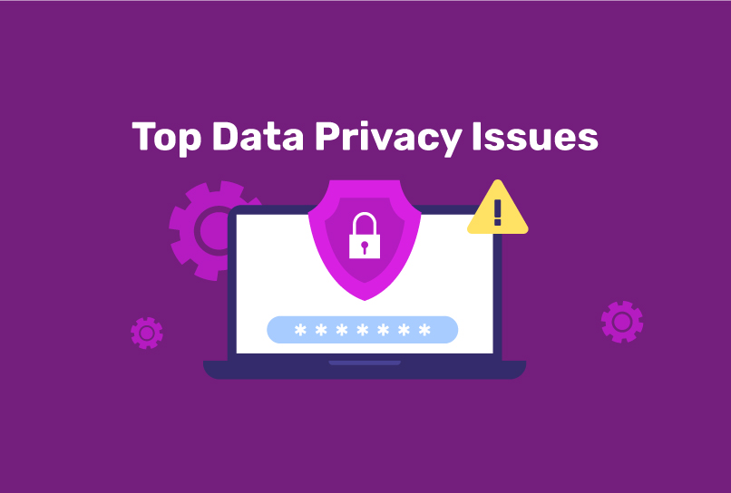 Top Data Privacy Issues: Examples and Solutions