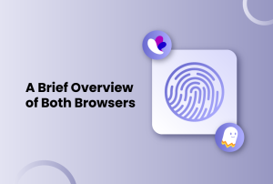 a brief overview of both browsers