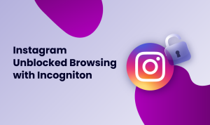 Instagram Unblocked Browsing Incogniton