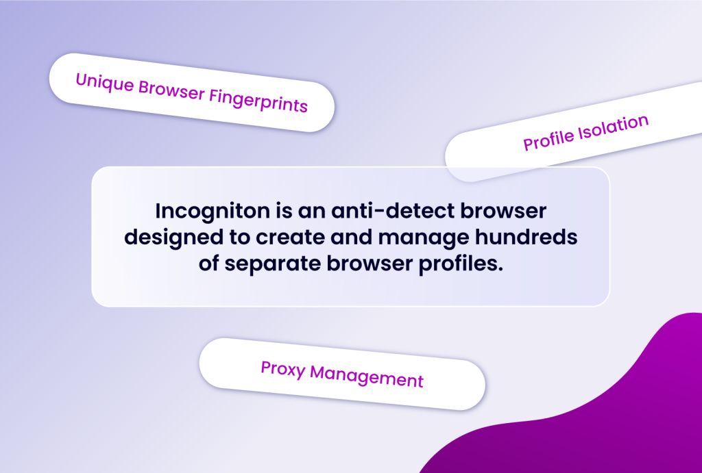 What is Incogniton: a brief primer.