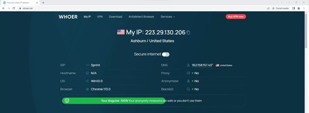 whoer.net dashboard with ip details