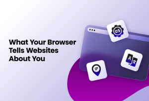 what your browser tells websites about you