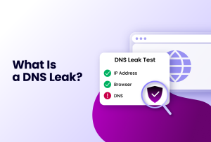 What Is a DNS Leak? text next to a card showing a DNS Leak Test with checks for IP Address and Browser, and an exclamation mark for DNS, with a magnifying glass over a shield icon.