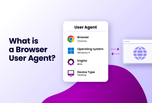 What is a Browser User Agent? with details on Browser Chrome, Operating system Windows 11, Engine Blink, and Device Type Desktop, next to a browser window icon.