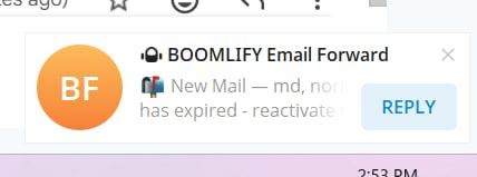 Email notification from BOOMLIFY Email Forward showing a new mail alert with the text "New Mail - md, nor has expired - reactivate" and a REPLY button.